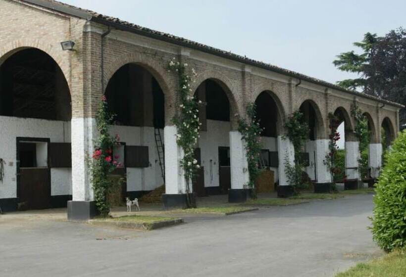 ベッドアンドブレックファースト Tenuta Mariano