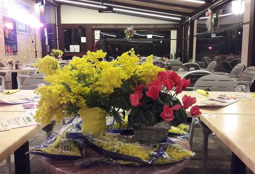 酒店 Camper Park Nervia