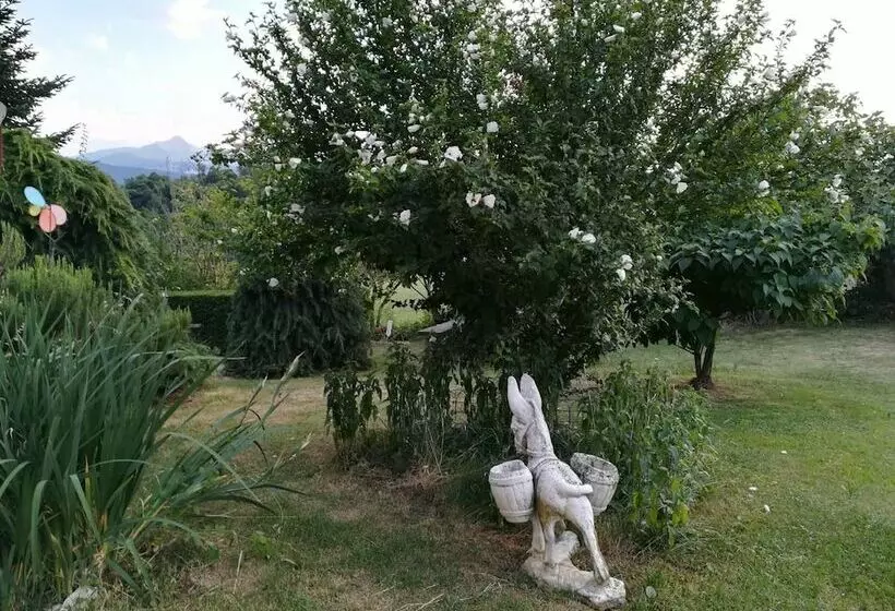 田舎風ホテル Agriturismo La Casetta