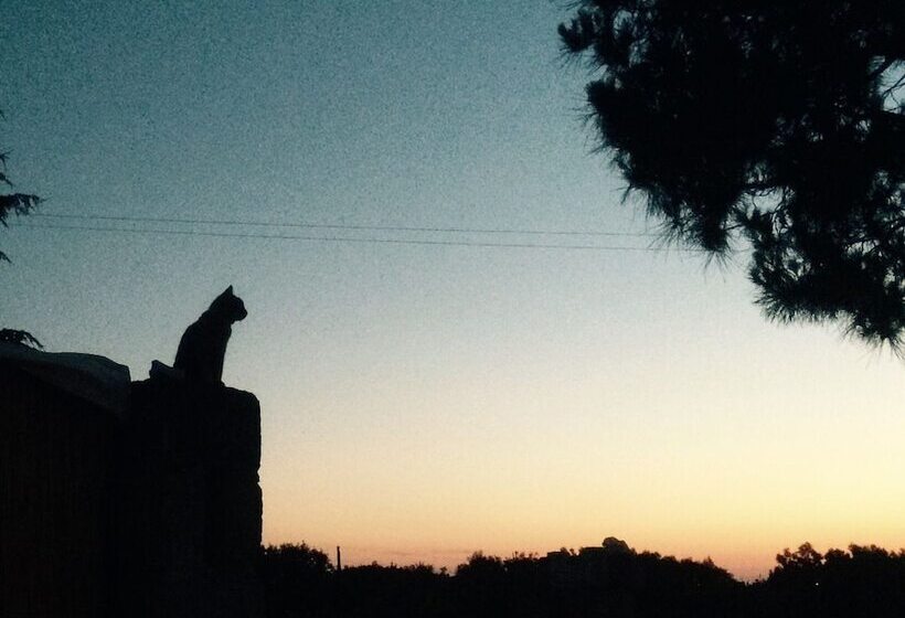 בית מלון כפרי Masseria Fanizzi