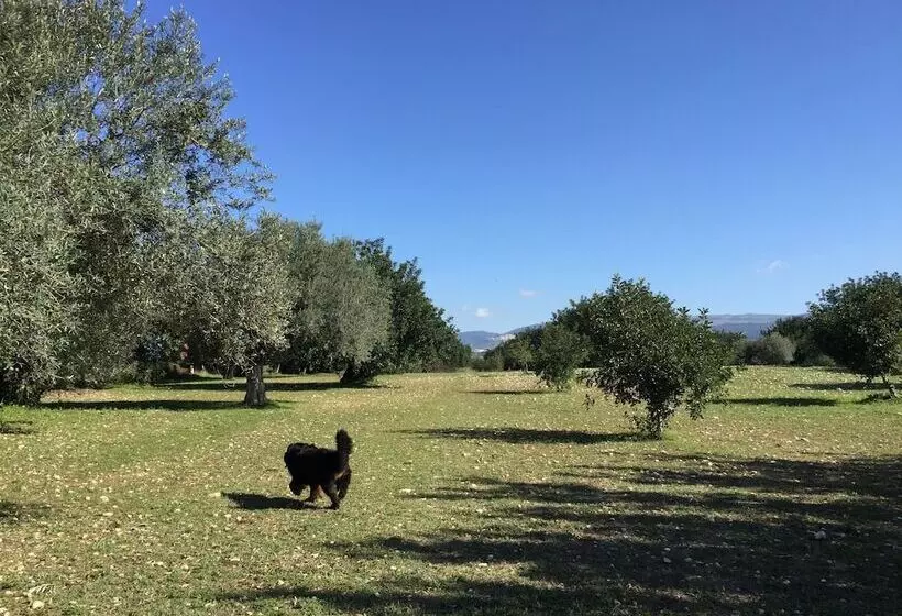 Majatalo Dimora Di Dante