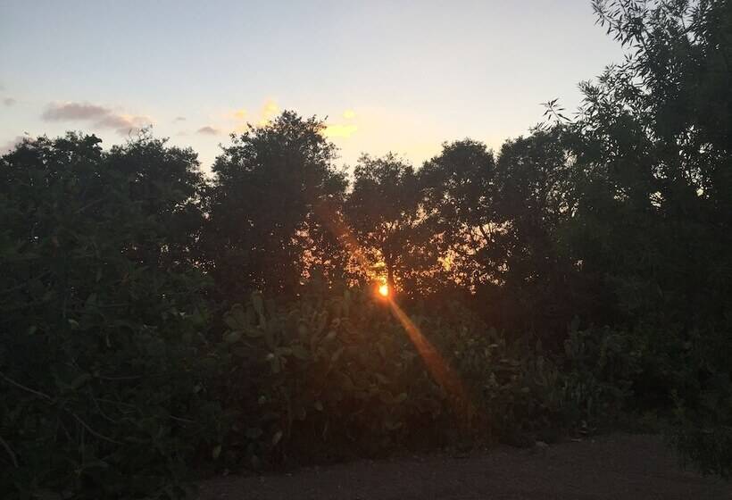 פנסיון Dimora Di Dante