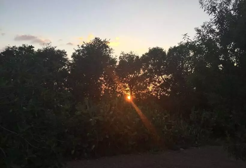 Majatalo Dimora Di Dante