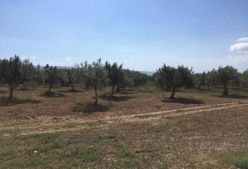 פנסיון Dimora Di Dante