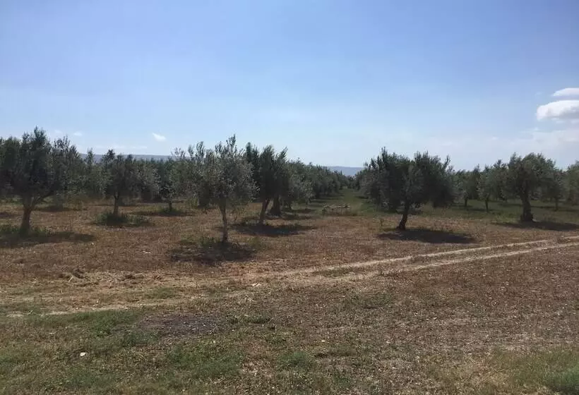 Majatalo Dimora Di Dante