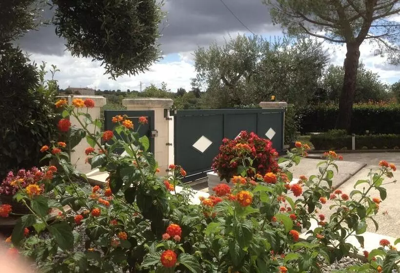 Aamiaismajoitus (B&B) Casa Delle Rondini