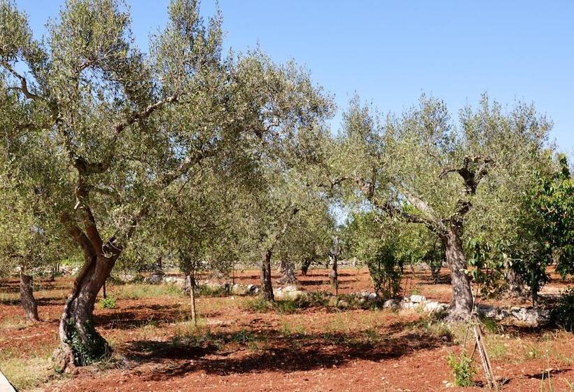 تختخواب و صبحانه Casa Delle Rondini