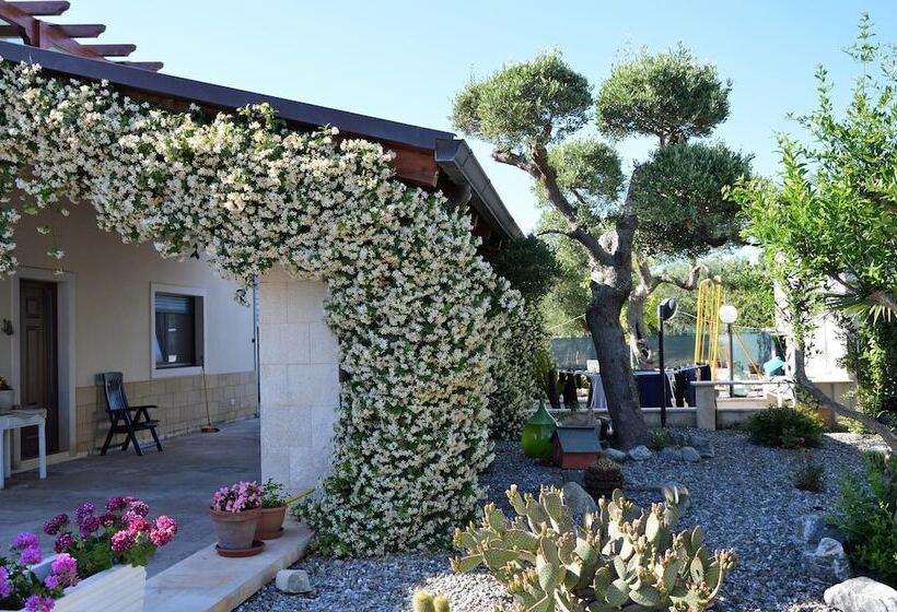 تختخواب و صبحانه Casa Delle Rondini