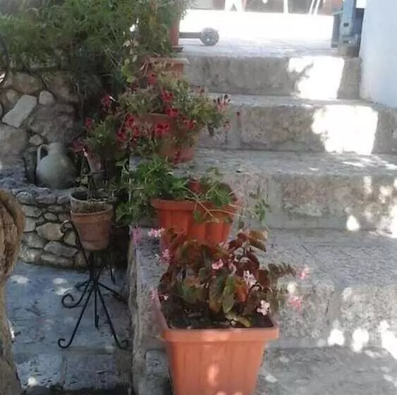 Bed and Breakfast La Ginestra