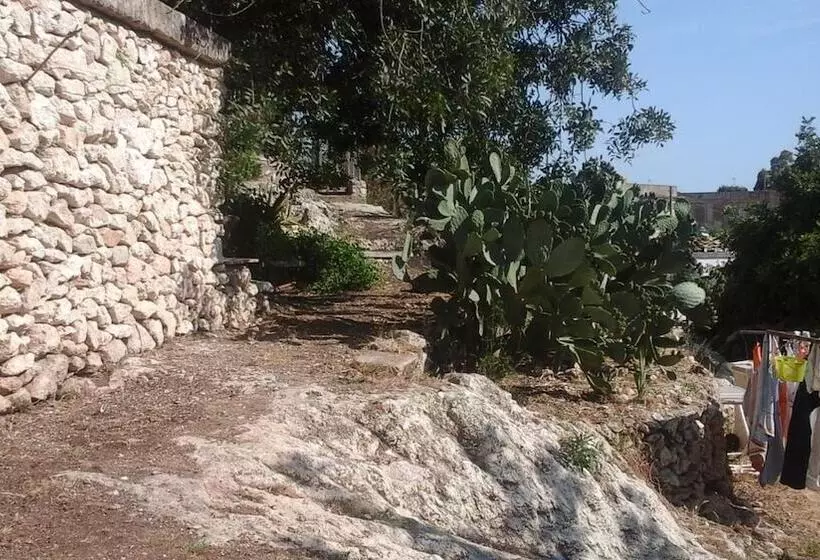 Bed and Breakfast La Ginestra