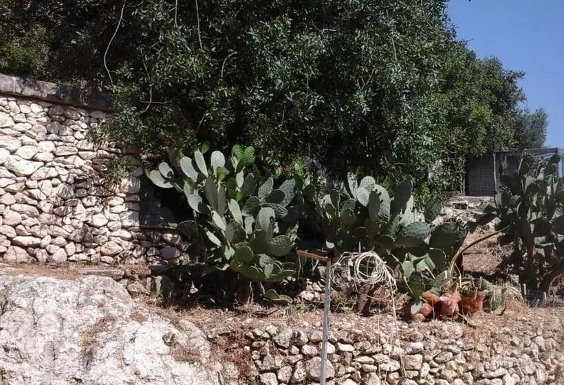 Bed and Breakfast La Ginestra