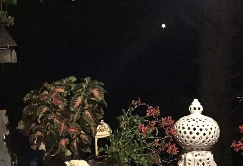 B&b Mediterrando