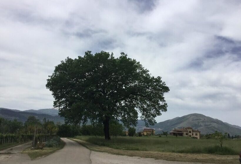 乡村酒店 La Fonte