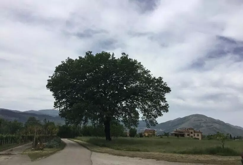 田舎風ホテル La Fonte