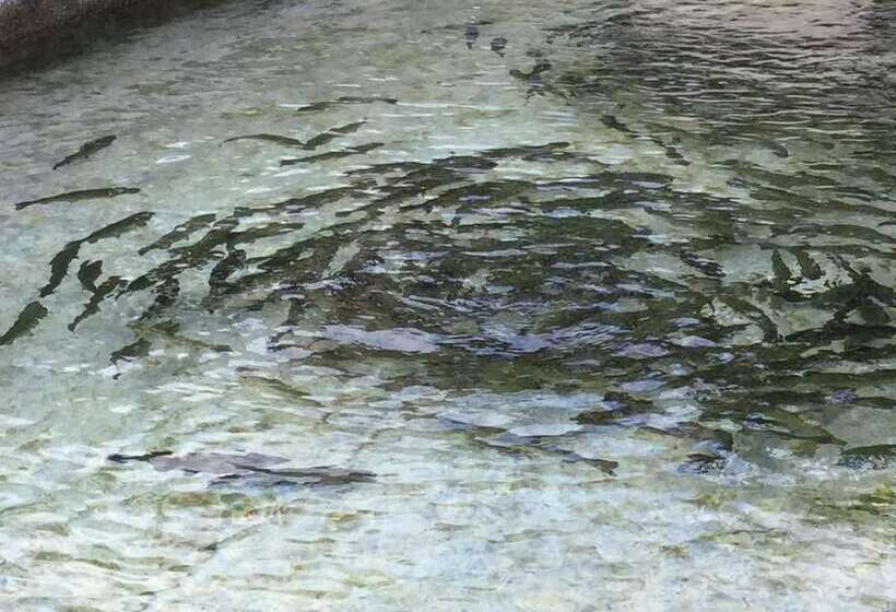 乡村酒店 La Fonte