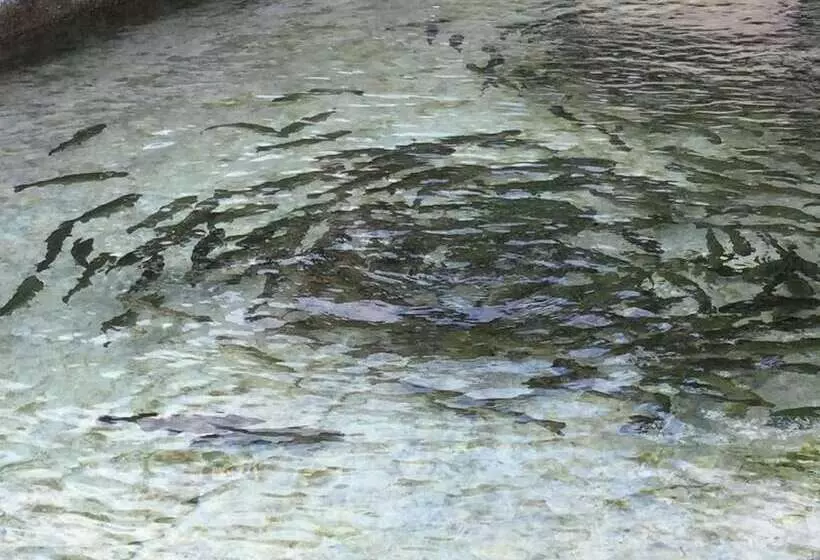 田舎風ホテル La Fonte