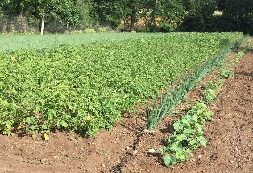 田舎風ホテル La Fonte