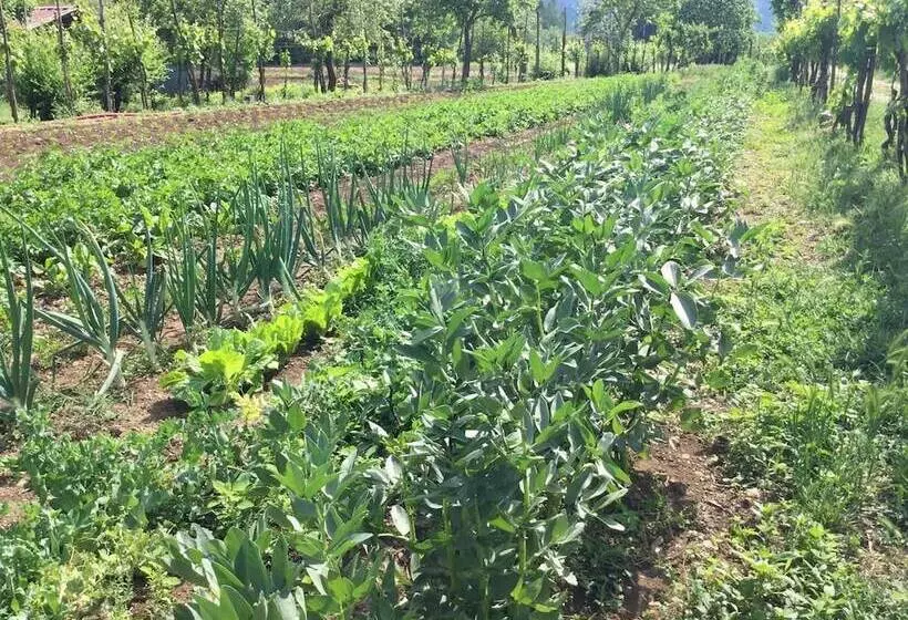 田舎風ホテル La Fonte