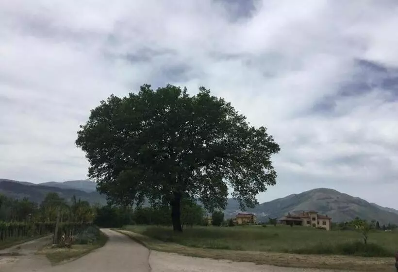 田舎風ホテル La Fonte