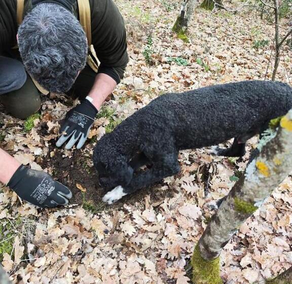 Сельский отель Tenuta Selvaggia