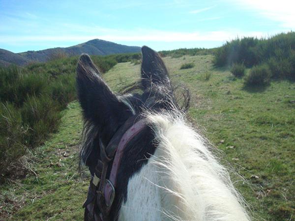 Сельский отель Tenuta Selvaggia