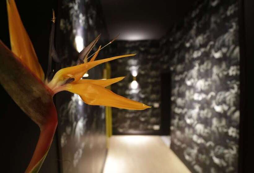 پانسیون Suitelifetrevi