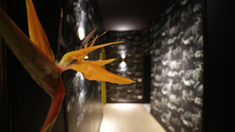 پانسیون Suitelifetrevi