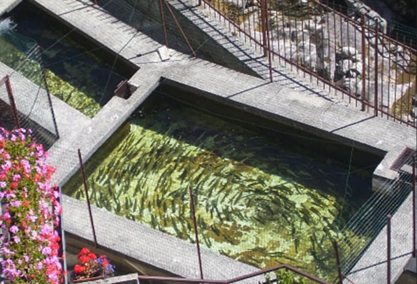 בית מלון כפרי Rododendro