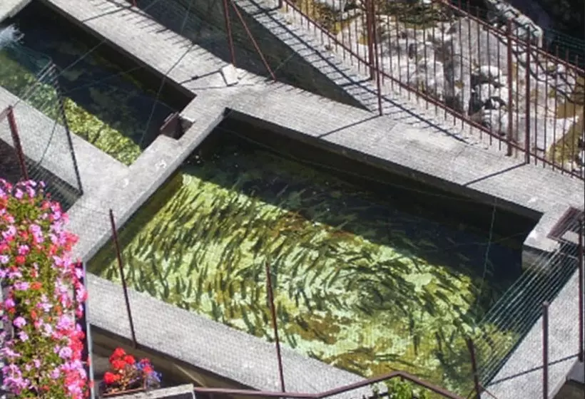 ホテル Rododendro