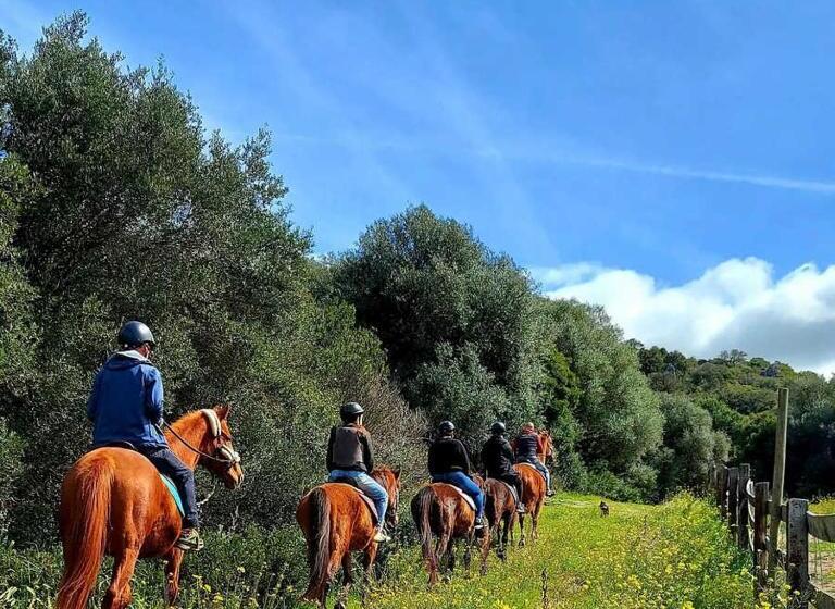 Пансион Villa Nicoletta