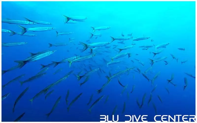 Majatalo Villa Nicoletta