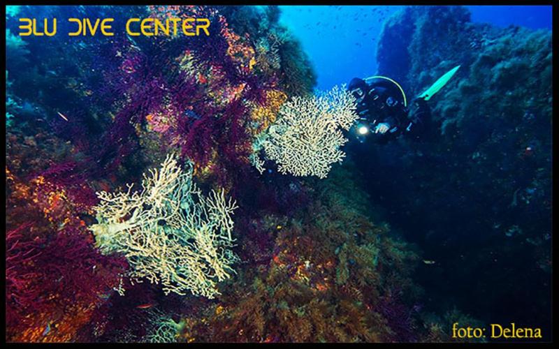 Пансион Villa Nicoletta