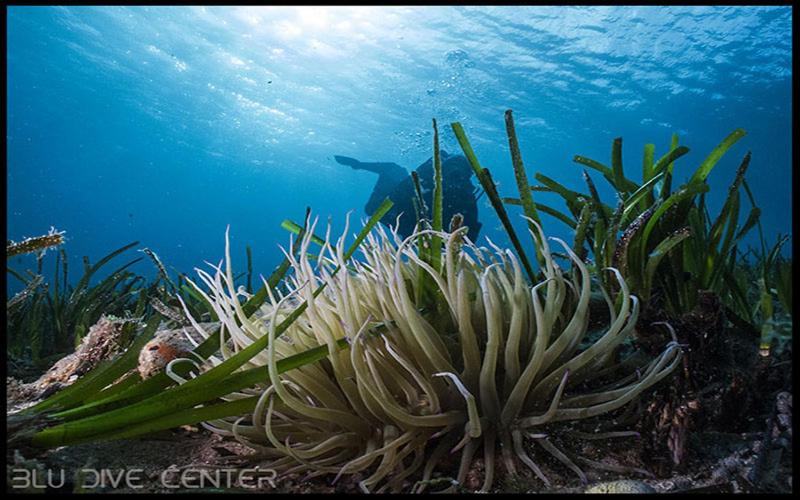 Пансион Villa Nicoletta