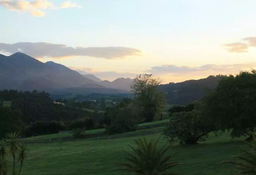 Отель Don Silvio