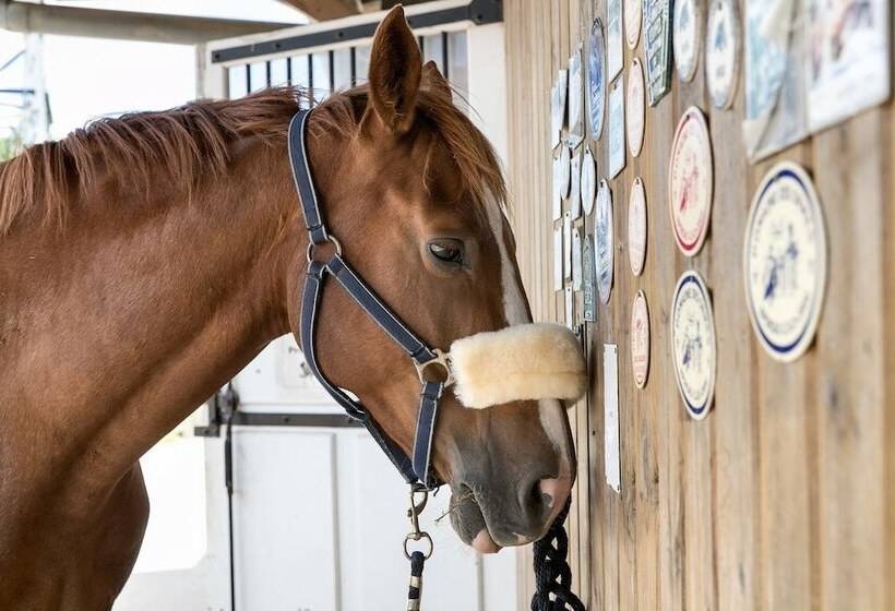 Hôtel Les Ormes Domaine Et Resort