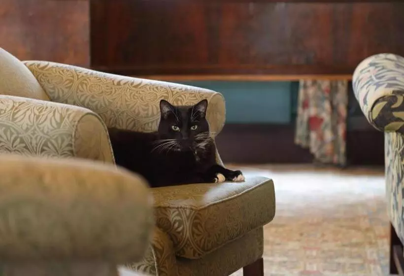 בית מלון כפרי The Ballachulish