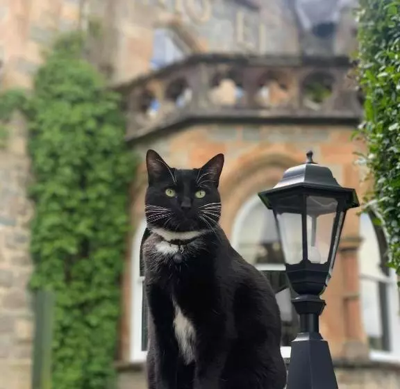 בית מלון כפרי The Ballachulish