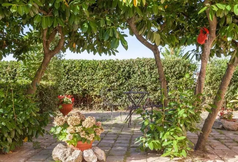 Agriturismo Artisti Del Cavallo