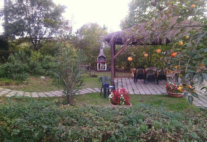 Agriturismo Artisti Del Cavallo