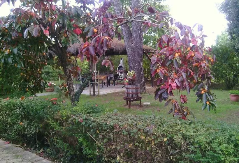 Agriturismo Artisti Del Cavallo