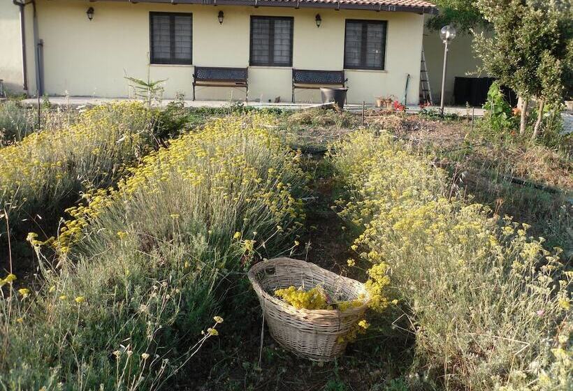 B&b Fragus E Saboris De Sardigna