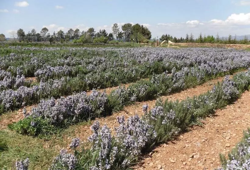 B&b Fragus E Saboris De Sardigna