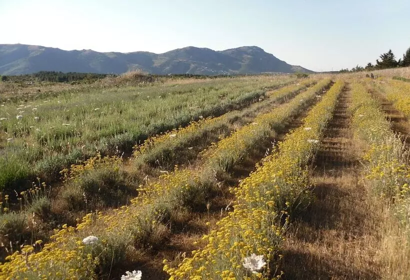 B&b Fragus E Saboris De Sardigna