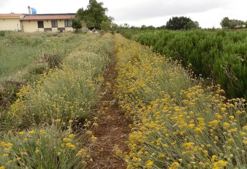 B&b Fragus E Saboris De Sardigna