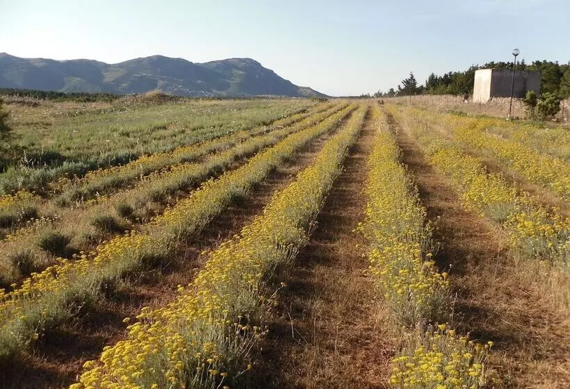 B&b Fragus E Saboris De Sardigna