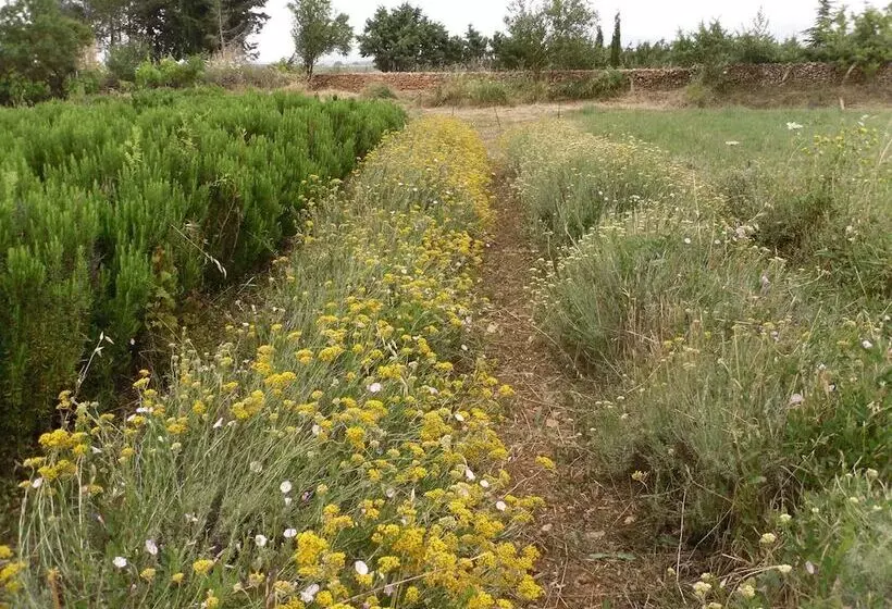 B&b Fragus E Saboris De Sardigna