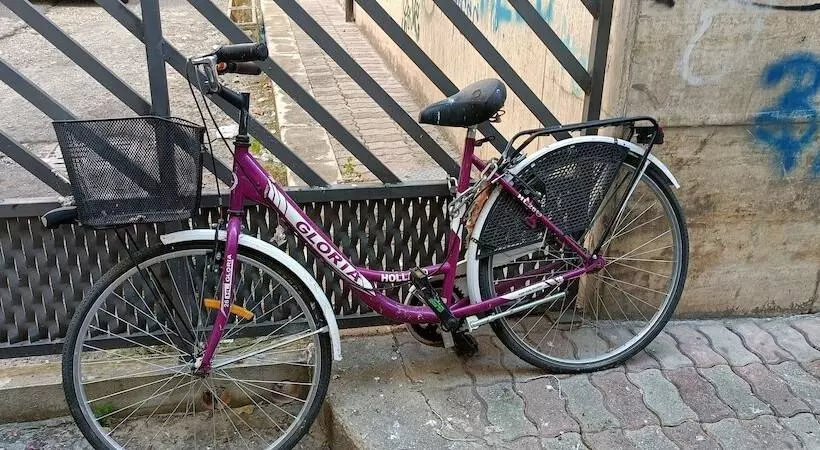 تختخواب و صبحانه Old Garden