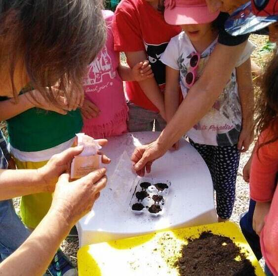 Hôtel Rural Fattoria Il Bruco