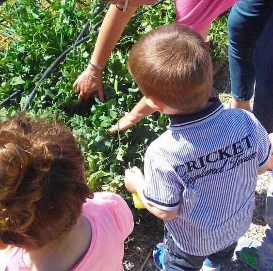 Hôtel Rural Fattoria Il Bruco