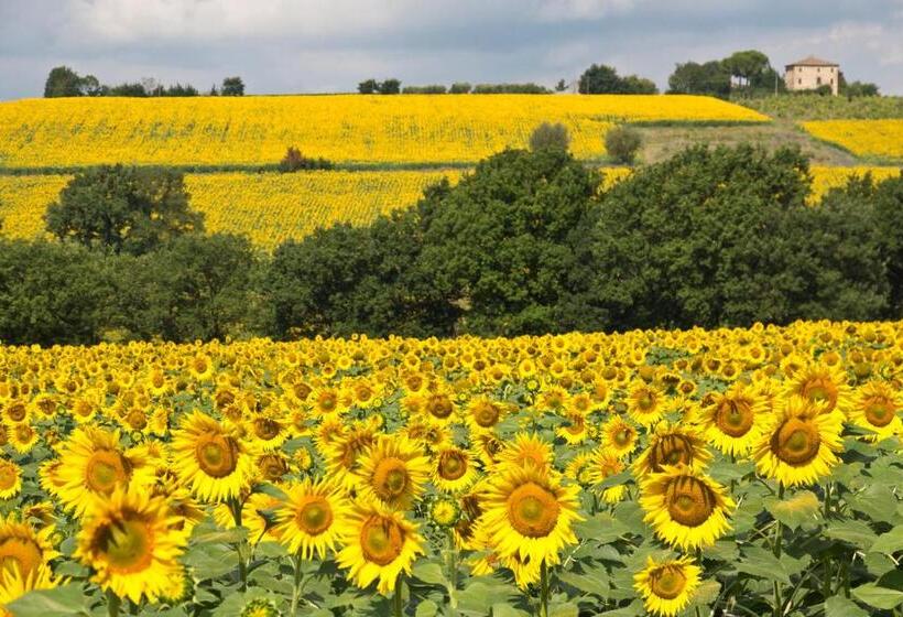 Hôtel Rural Fattoria Il Bruco